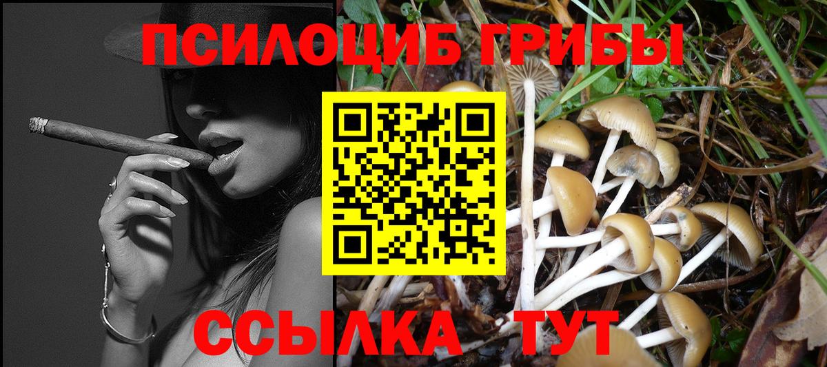 Галлюциногенные грибы GOLDEN TEACHER Арзамас