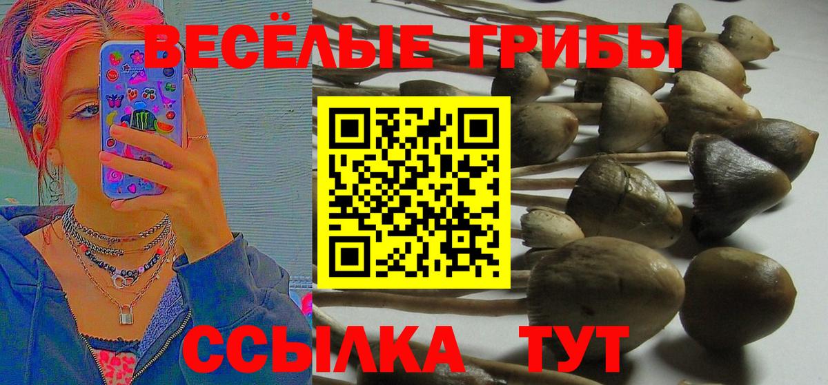 Псилоцибиновые грибы мицелий  как найти   Арзамас  Вход с VPN  Галлюциногенные грибы Cubensis 